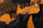 USA-Colorado-Gunnison National Forest Sunrise on cliffs and forest in autumn Art Print